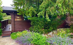 The Cabin